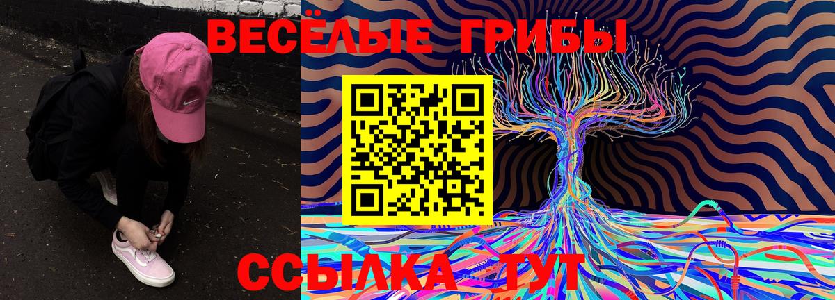 Галлюциногенные грибы GOLDEN TEACHER  Вход с VPN  Галлюциногенные грибы ЛСД  Чехов 
