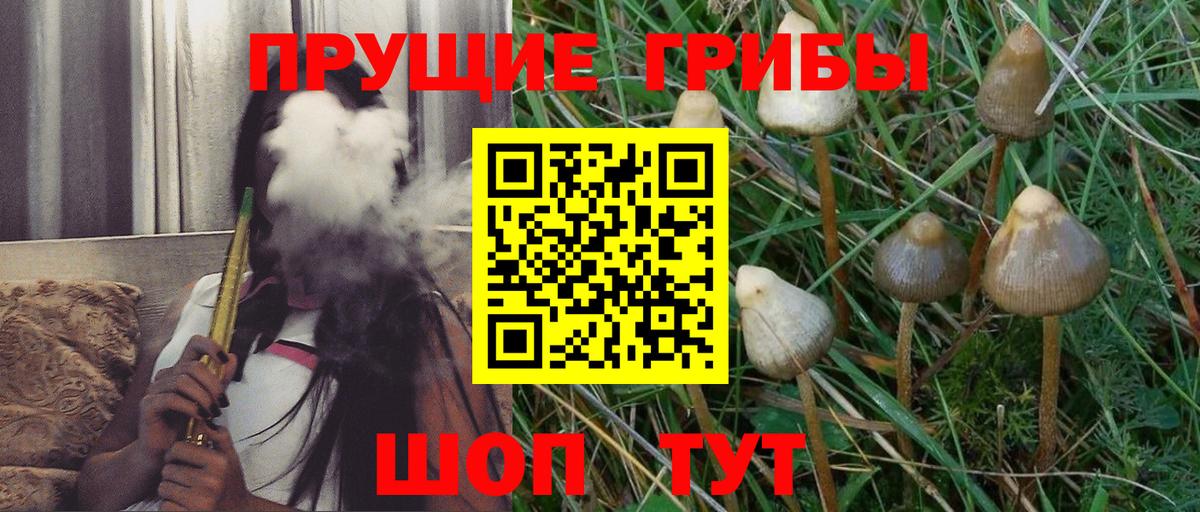 Галлюциногенные грибы MAGIC MUSHROOMS Чехов